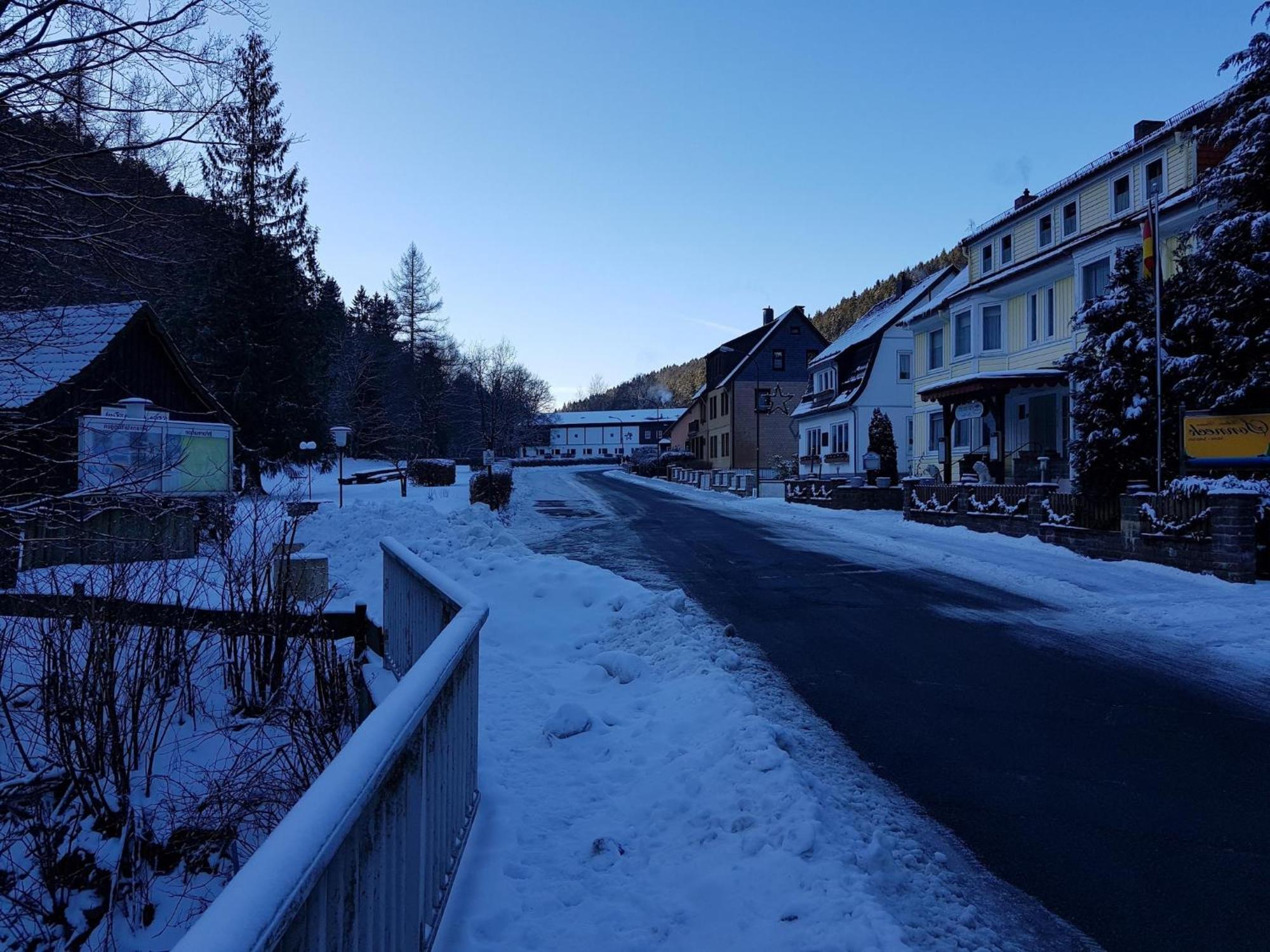 Adorable Aparment In Wildemann With Parkingアパートメント エクステリア 写真