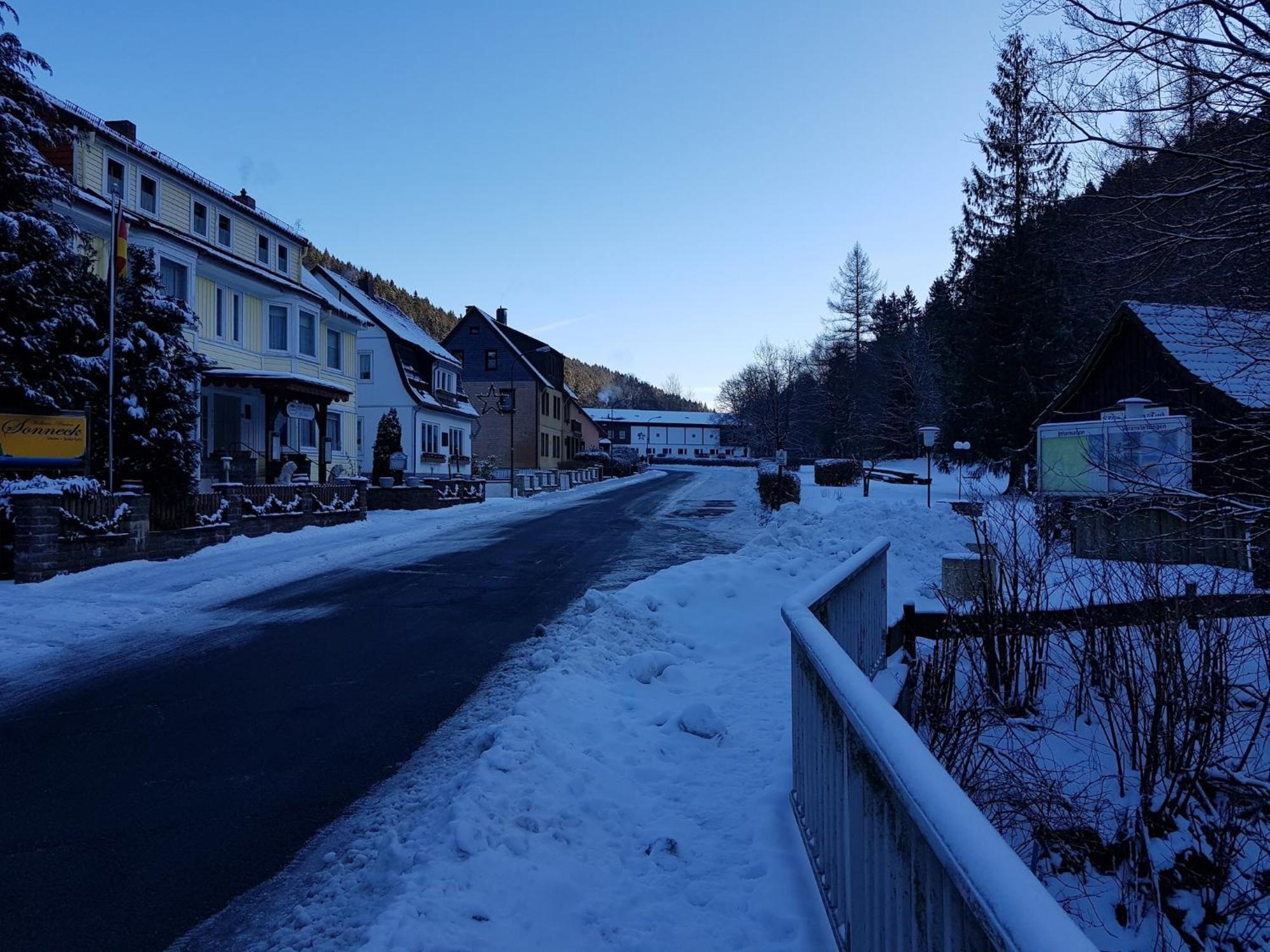 Adorable Aparment In Wildemann With Parkingアパートメント エクステリア 写真